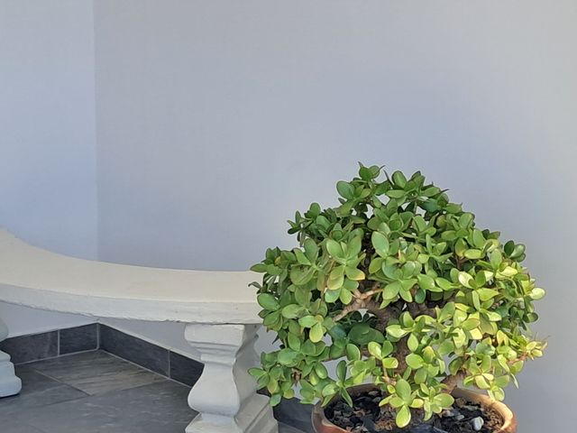 1 Bedroom Property for Sale in Britannica Heights Western Cape